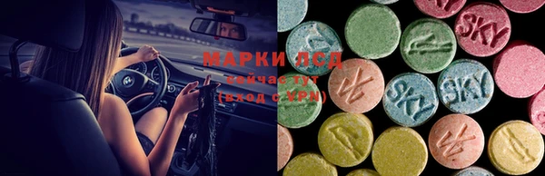 крисы Бугульма