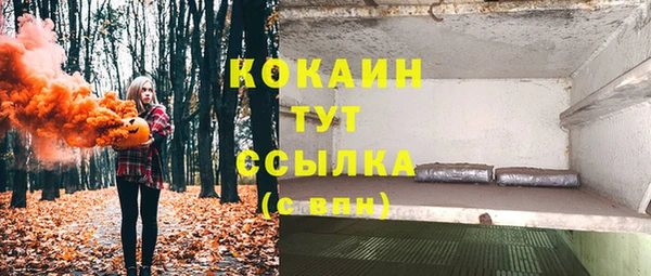 индика Верея