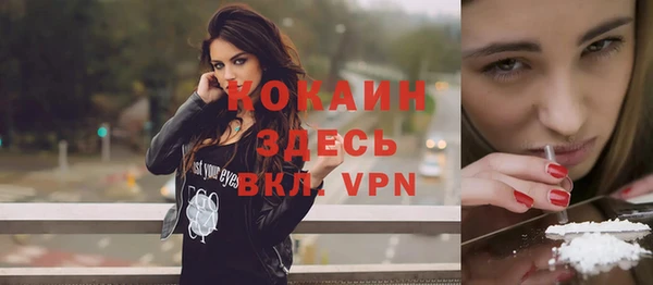 индика Верея