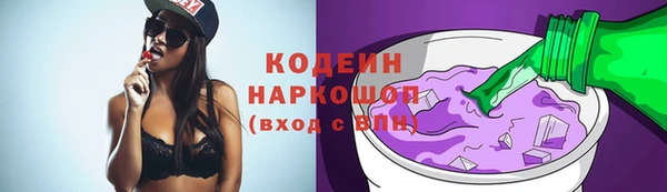 индика Верея