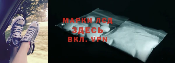 индика Верея