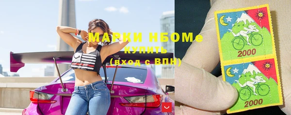 индика Верея
