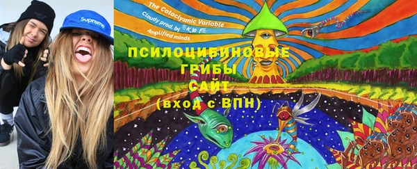 индика Верея