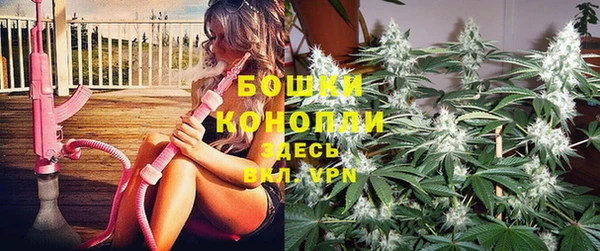 индика Верея