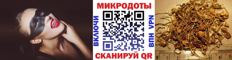 нарко площадка формула  купить наркотик  Пыталово  Галлюциногенные грибы Cubensis 